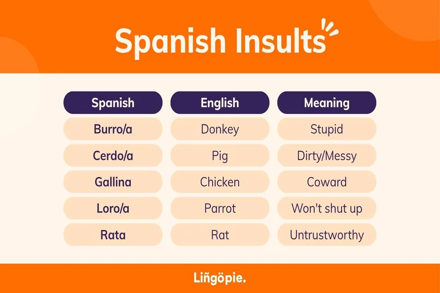 100 Curse Words in Spanish