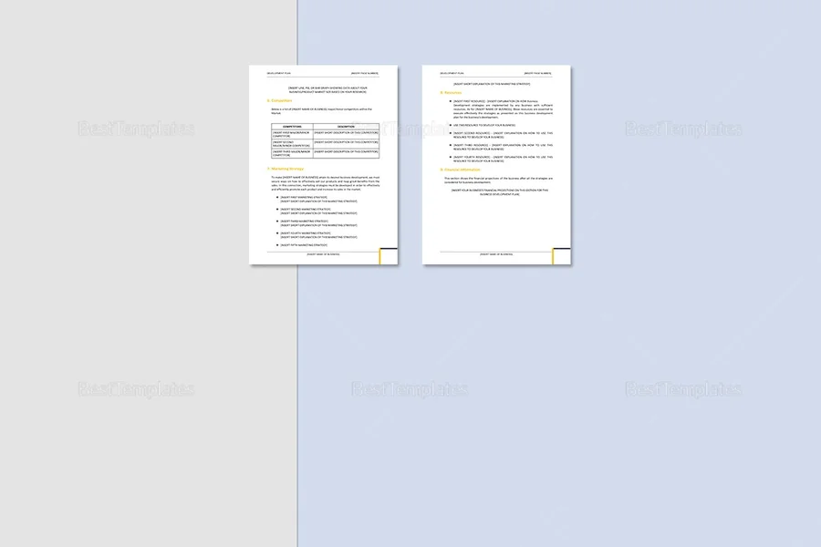 Business Development Plan Template Word