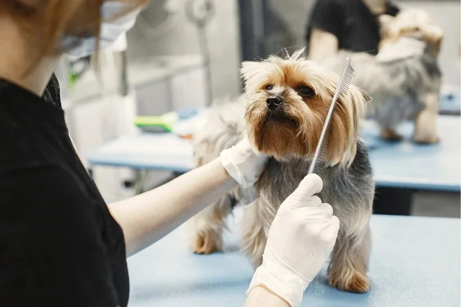 Dog Grooming Business Plan