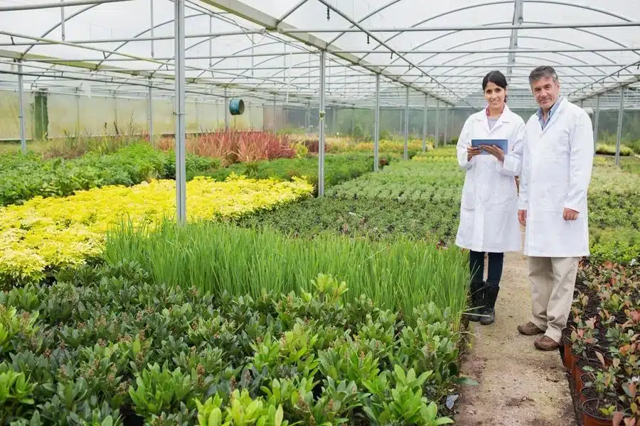 Plant Nursery Business Plan