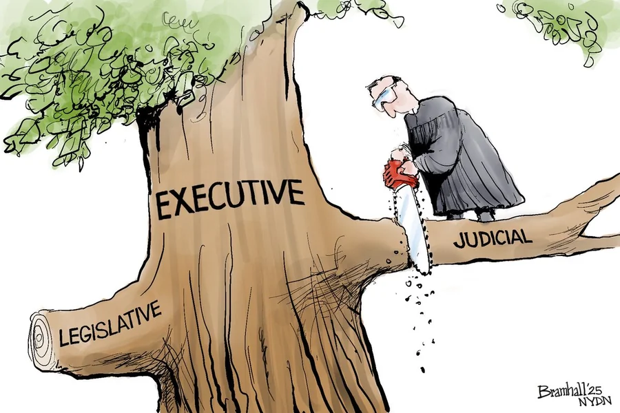 Separation of Powers Political Cartoon