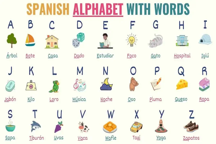 Words That Start With Ñ in Spanish
