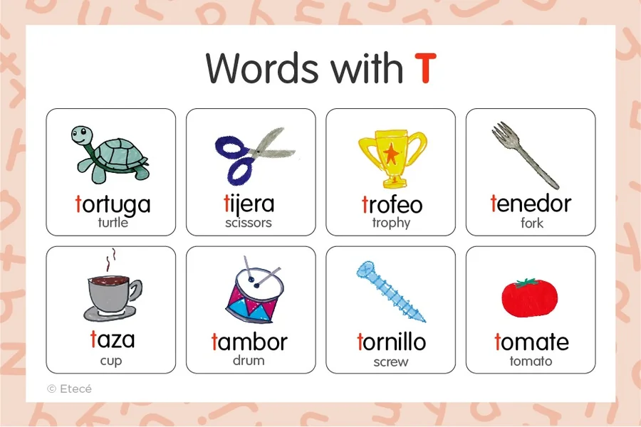 Words That Start With T in Spanish