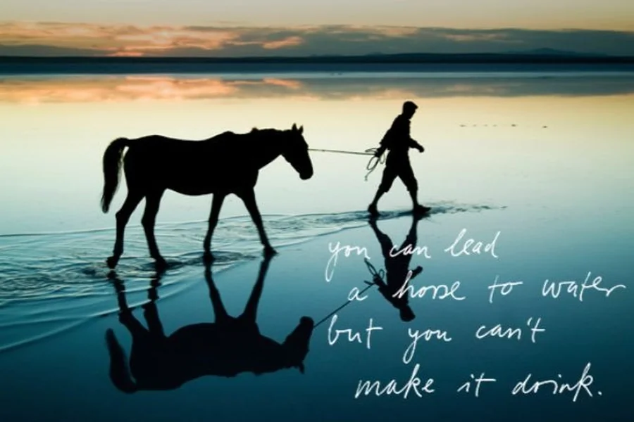 you can lead a horse to water quote