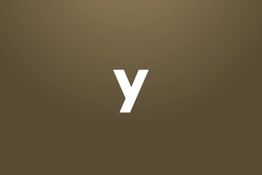 Y Adjectives in Spanish