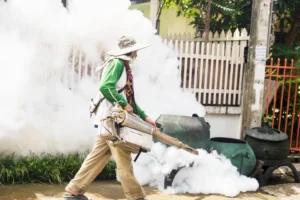 How Mosquito Control Services Create A Safer Outdoor Environment