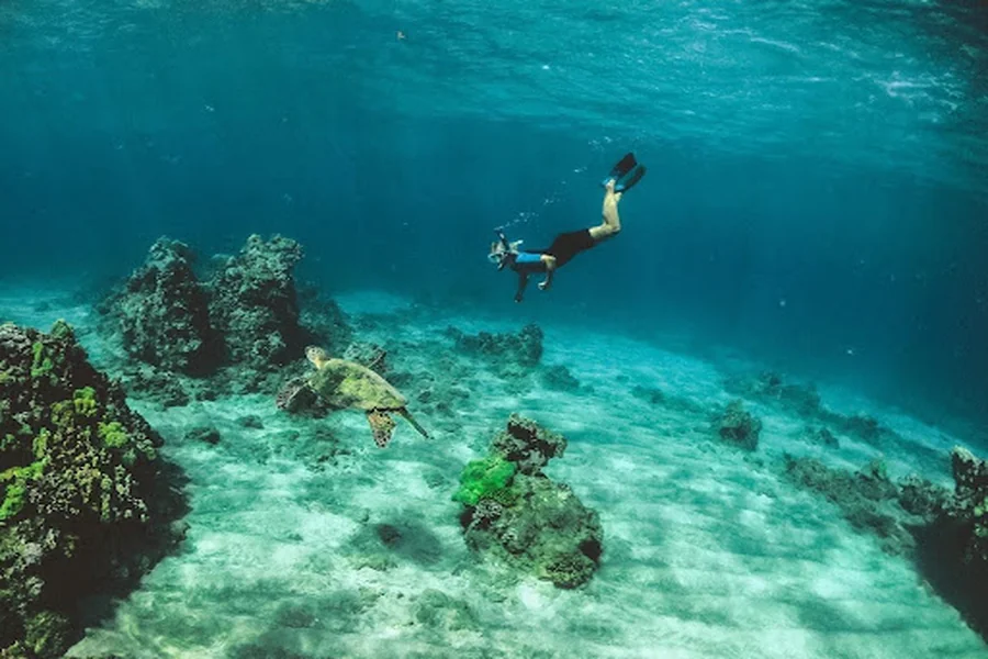 Snorkeling 