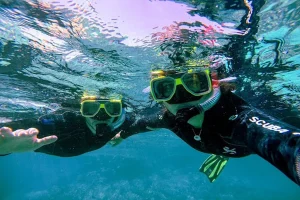 How Can You Choose The Right Snorkeling Honolulu Tour For Your Group?